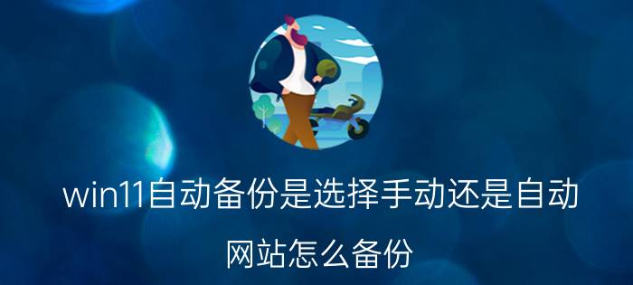 win11自动备份是选择手动还是自动 网站怎么备份？